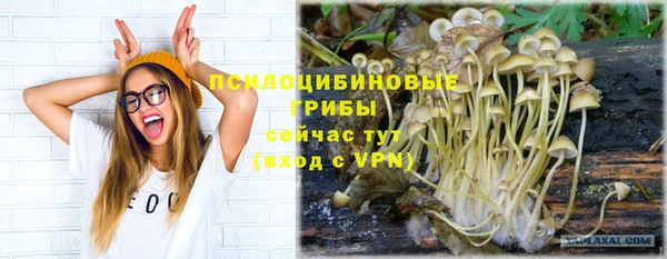 альфа пвп Алагир