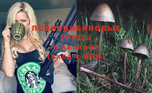альфа пвп Алагир