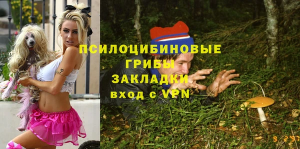 дживик Аксай